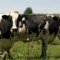 Farm Montville Duchek 6570